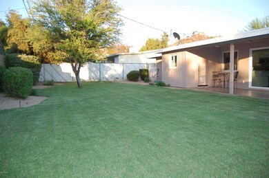 Backyard 2