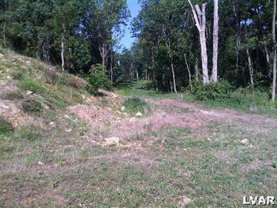 5690 Saucon Ridge Rd unit lot 9, Coopersburg, PA 18036 - photo 5