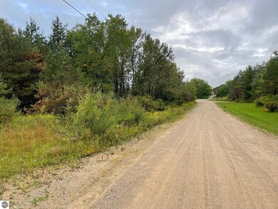 0 W State Rd, West Branch, MI 48661 - photo 4