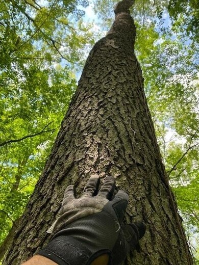 5 Ac Sunrise Rd, Rutland, WI 53575 - photo 4