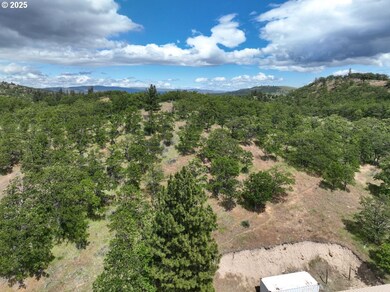 4397 Browns Creek Rd, Thedalles, OR 97058 - photo 6