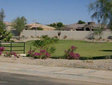 Greenbelt in Phase 2
