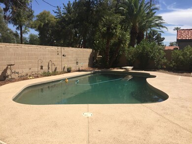 Nice shady Pool