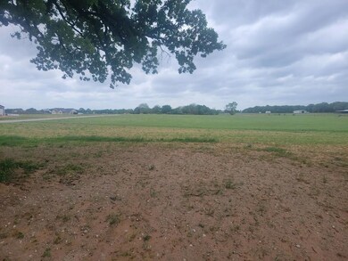 196 County Road 3340, Paradise, TX 76073 - photo 4