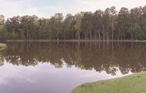 BLK 29 LOT 31 Heather Cir, Waverly Hall, GA 31831 - photo 4