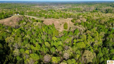 52 Acres Weed Keltner Rd, Columbia, KY 42728 - photo 7