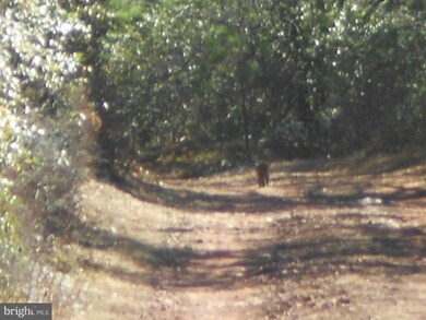 6 Kile Knob, Franklin, WV 26807 - photo 7