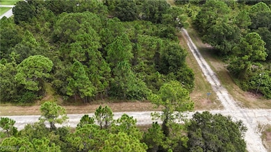 1031 Card St E, Lehigh Acres, FL 33974 - photo 3