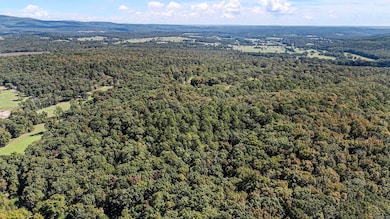 TRACT 2&3-13610 Arkansas 105, Hector, AR 72843 - photo 3