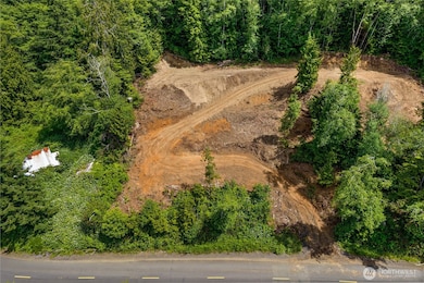 0 X Willapa Ave, South Bend, WA 98586 - photo 6