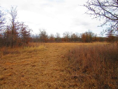 241 Perkins Rd, Poolville, TX 76487 - photo 5