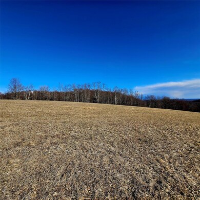 0 Stump Pond Rd, Callicoon, NY 12724 - photo 7