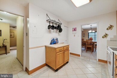 203 Yoakum Pkwy unit 507, Alexandria, VA 22304 - photo 4