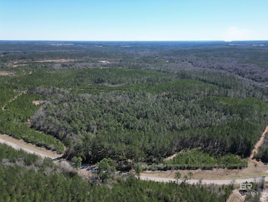 01 Robinsonville Rd, Atmore, AL 36502 - photo 7