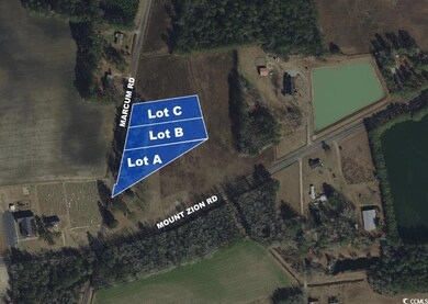 750 Marcum Dr unit Lot C, Loris, SC 29569 - photo 2