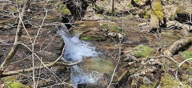 38162 Seneca Trail, Slatyfork, WV 26291 - photo 3