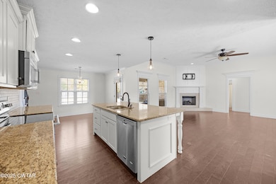 173 Shadow Creek Ln, Medina, TN 38355 - photo 6