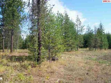 195 Dancing Lights, Careywood, ID 83809 - photo 2