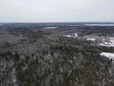 DJI_0501