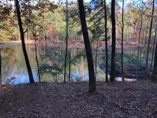 Water view