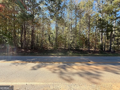 2089 Jones Ferry Rd, Elberton, GA 30635 - photo 7