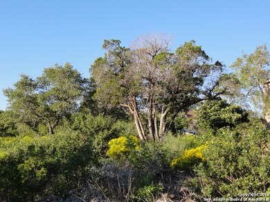 17108 Lone Cypress, Helotes, TX 78023 - photo 3