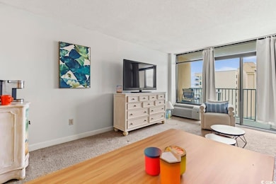 Carpeted bedroom with a textured ceiling and acces