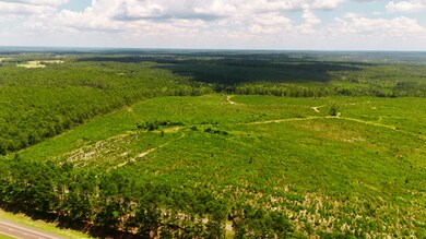 Lot 3 3 Notch Rd, Monetta, SC 29105 - photo 6