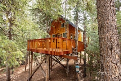 The coolest treehouse!