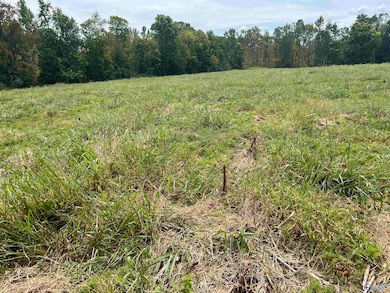 12 Holland Rd, Athens, AL 35614 - photo 4