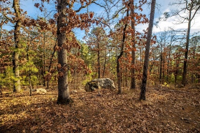 Lot 17 Phase 1, Tuskahoma, OK 74574 - photo 2