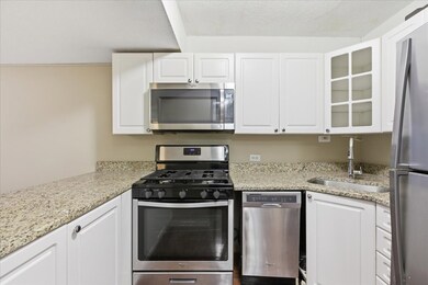 230 E Ontario St unit 1503, Chicago, IL 60611 - photo 2