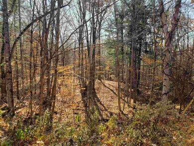 0 Howard Rd, Bridgewater, NH 03222 - photo 4