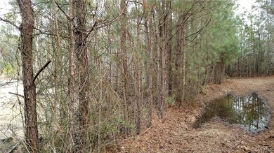 00000 Prince George Dr, Prince George, VA 23842 - photo 5