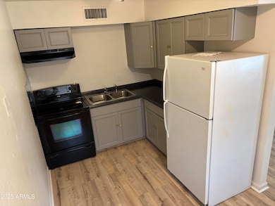 310 W 8th Ave unit D, Mesa, AZ 85210 - photo 4