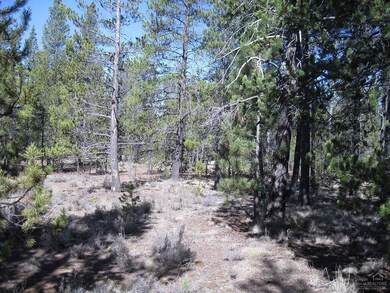 21 Klamath Ln, Sunriver, OR 97707 - photo 4