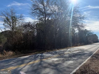 0 Pollard Rd unit 10661019, Temple, GA 30179 - photo 3