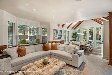 303 W Hopkins Ave, Aspen, CO 81611 - photo 6