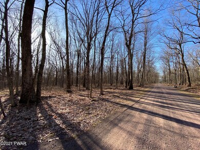 Lot 104 Mountain Top Rd, Lackawaxen Township, PA 18435 - photo 5