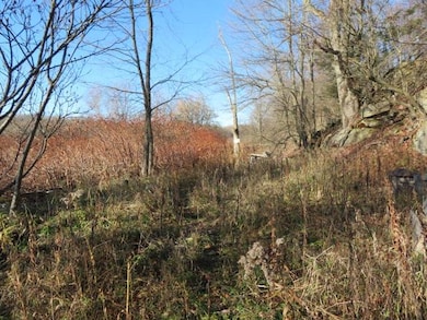 30269 Co Rte 22, Theresa, NY 13691 - photo 2