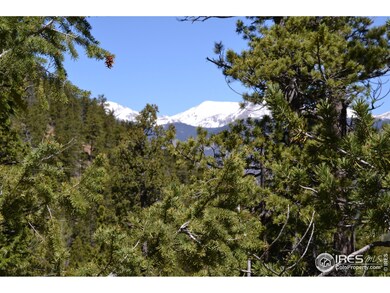 Snow through the trees