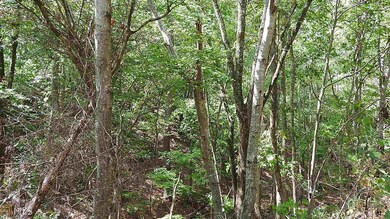 0 Nicklesville Rd NE unit 9637 8073887, Ranger, GA 30734 - photo 6