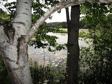 ON Peninsula Dr, Phillips, WI 54555 - photo 2