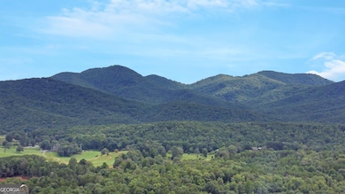 161 Old Dial Rd, Morganton, GA 30560 - photo 7