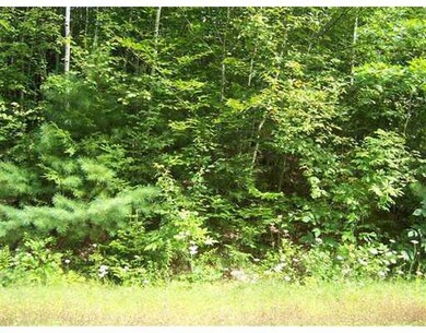 Land/Lot.