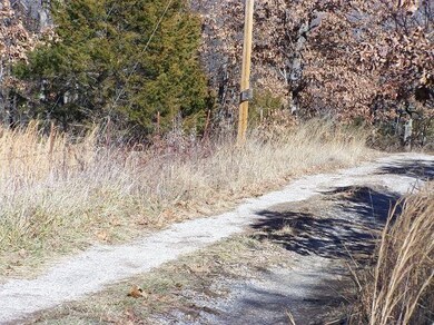 0 SE Slaty Gap Cr# 4149 Rd unit 1032281, West Fork, AR 72744 - photo 6