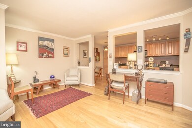 5704 Brewer House Cir unit 101, Rockville, MD 20852 - photo 6