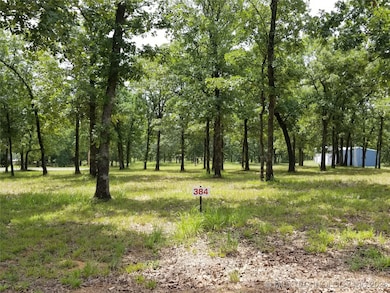 384 Edge Water, Eufaula, OK 74432 - photo 7