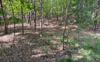 Additional View