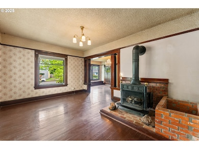 Fireplace Wood Burning Stove/Insert